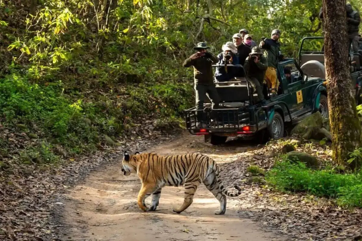 Things to Do In Jim Corbett National Park